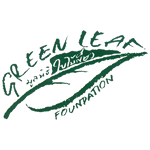 A green leaf in the middle of 'Green Leaf' and 'Foundation'